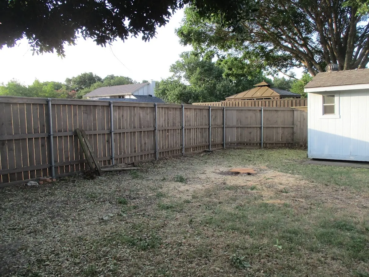 Cleared yard after professional tree removal in Westtown