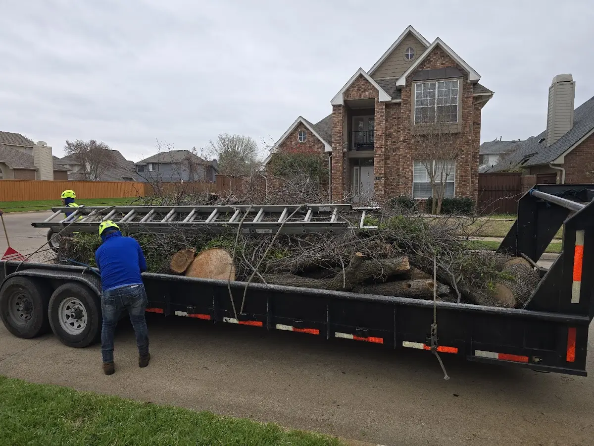 Expert Tree Removal with proper safety equipment in Westtown